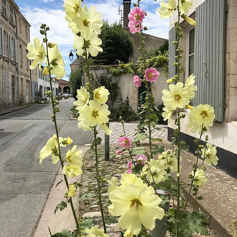 ile de re galathee holiday home